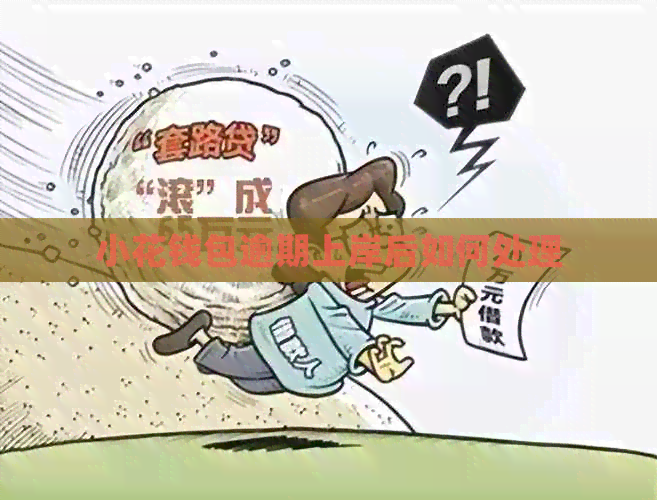 小花钱包逾期上岸后如何处理