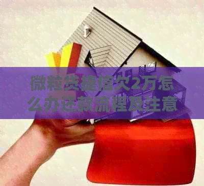 微粒贷捷信欠2万怎么办还款流程及注意事项