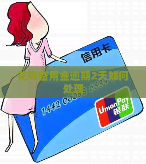 花呗备用金逾期2天如何处理