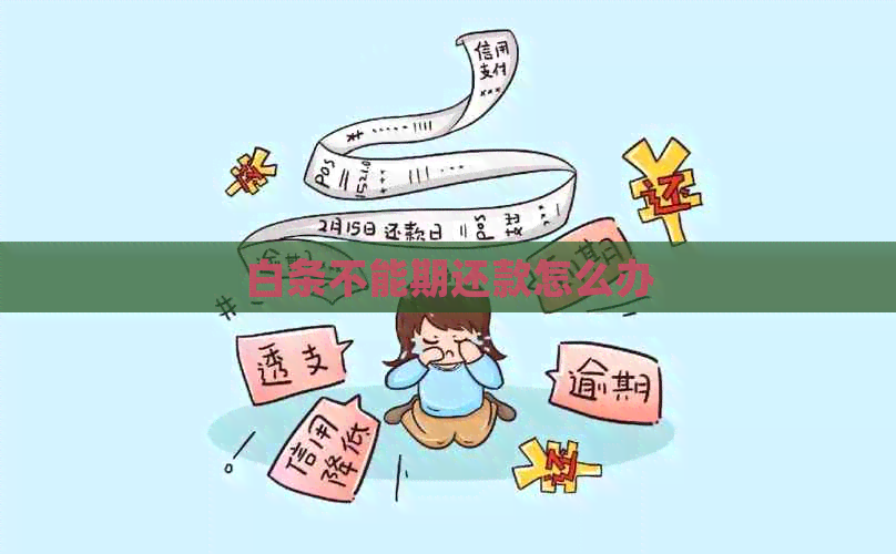 白条不能期还款怎么办
