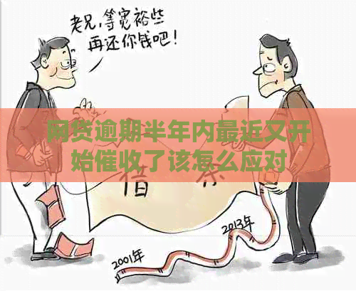 网贷逾期半年内最近又开始了该怎么应对