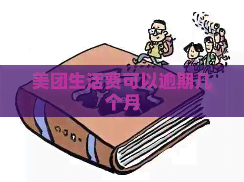 美团生活费可以逾期几个月