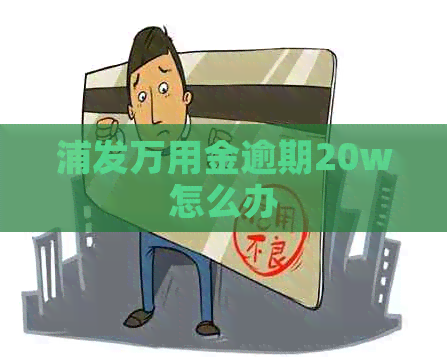 浦发万用金逾期20w怎么办