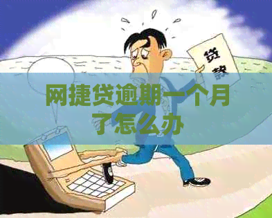 网捷贷逾期一个月了怎么办
