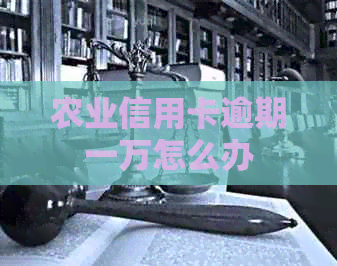 农业信用卡逾期一万怎么办
