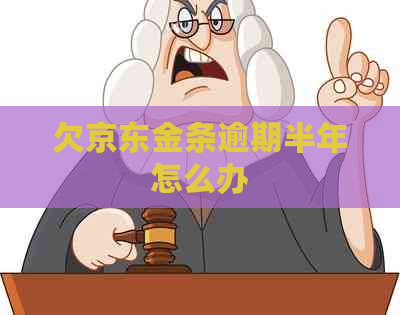 欠京东金条逾期半年怎么办