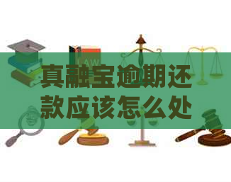 真融宝逾期还款应该怎么处理