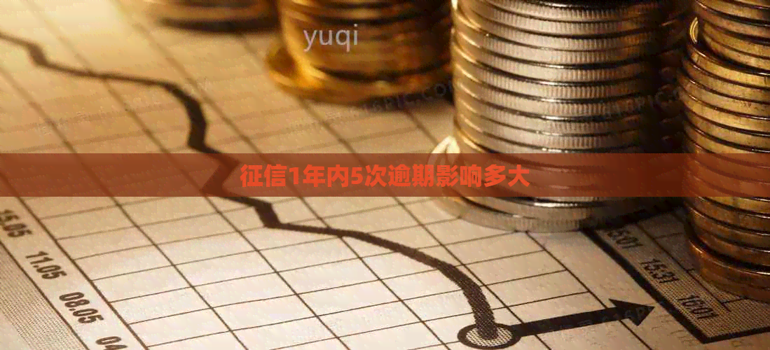 1年内5次逾期影响多大