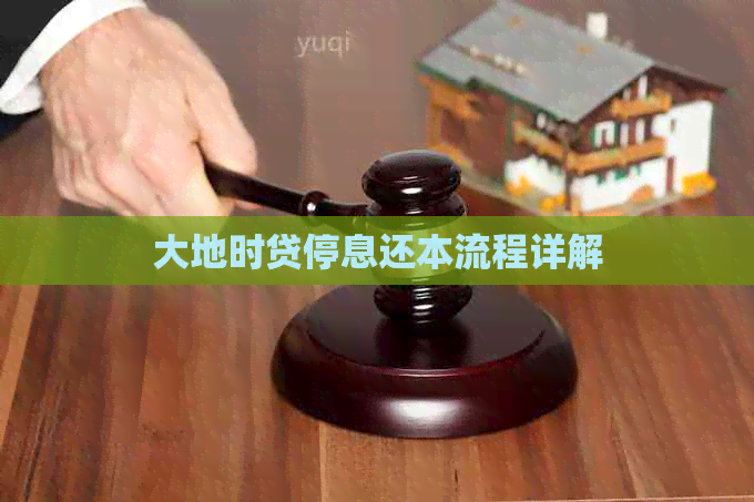 大地时贷停息还本流程详解