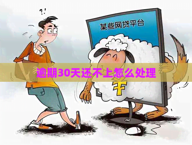 逾期30天还不上怎么处理