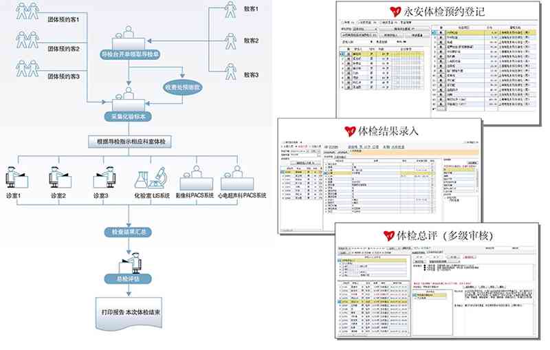 体检报告智能解读：系统模型、含义、撰写方法与全面解析