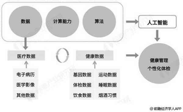 体检报告智能解读：系统模型、含义、撰写方法与全面解析