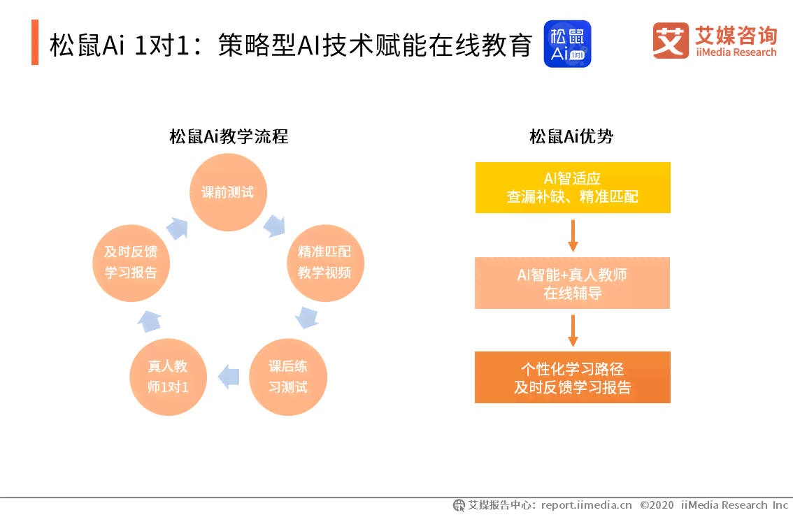 合肥松鼠ai现状调查报告