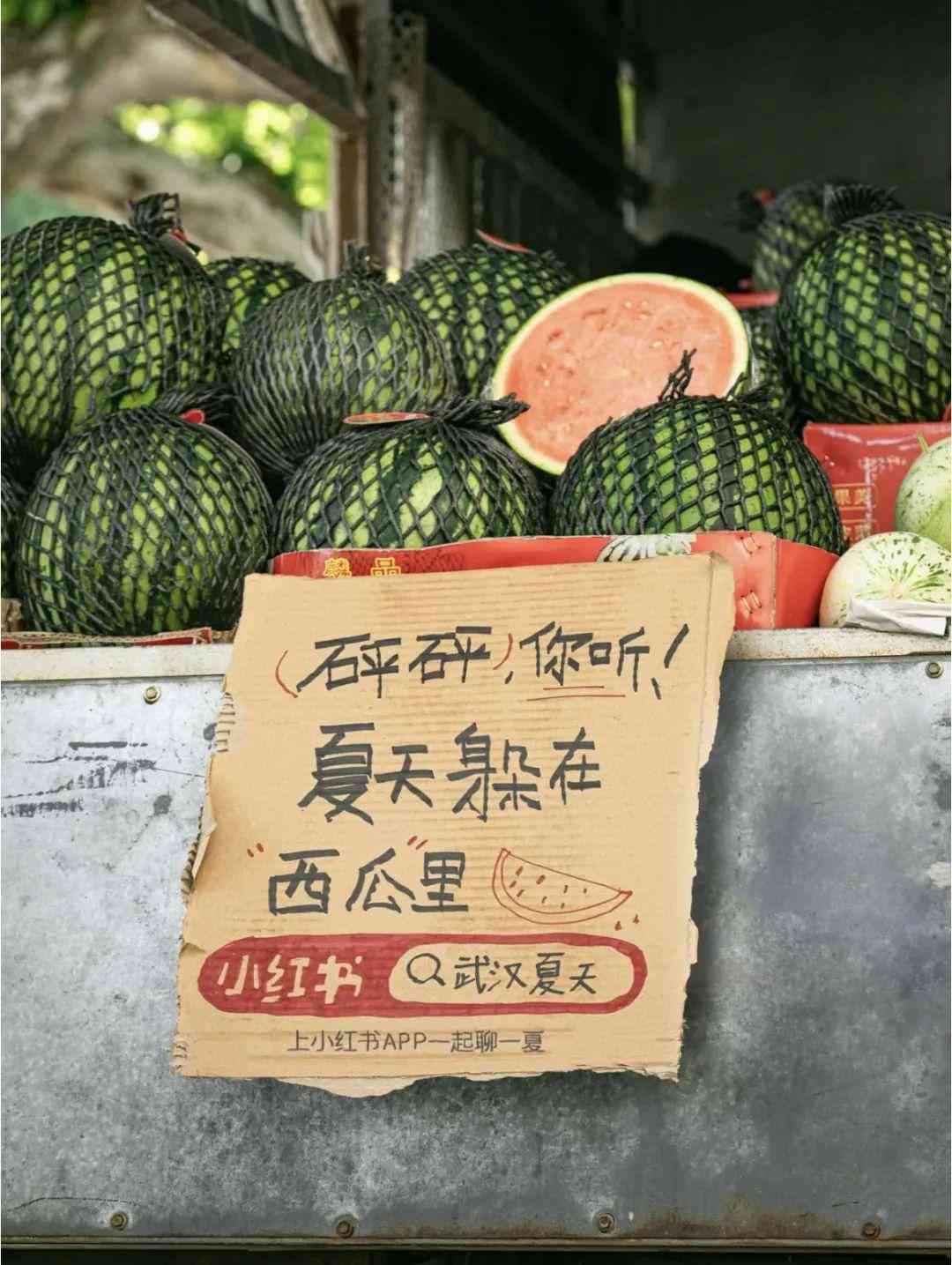 AI智能助力：全方位攻略，教你打造小红书爆款文案与内容创作秘诀