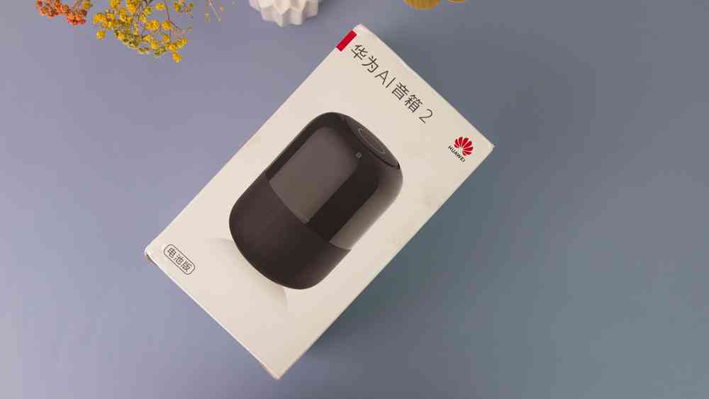 华为ai音箱市场营销报告：卖点、优势与市场销售价分析