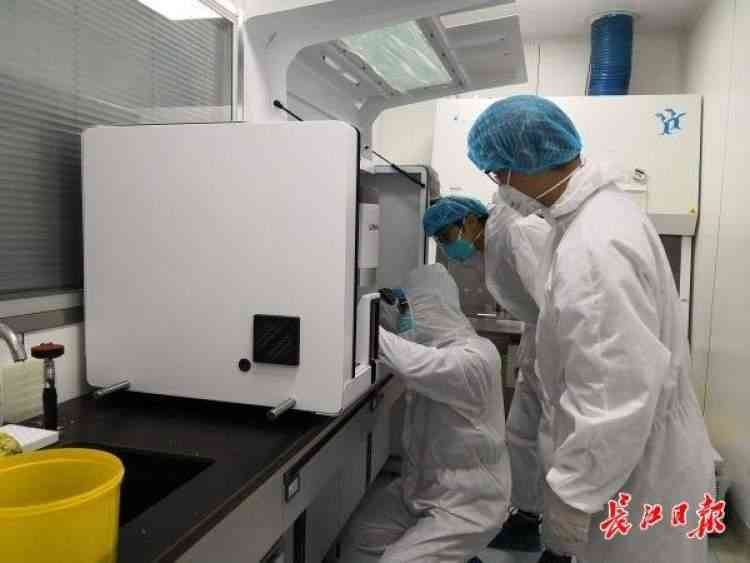 'AI文字变形技术实现任意创意变化与自由调整'