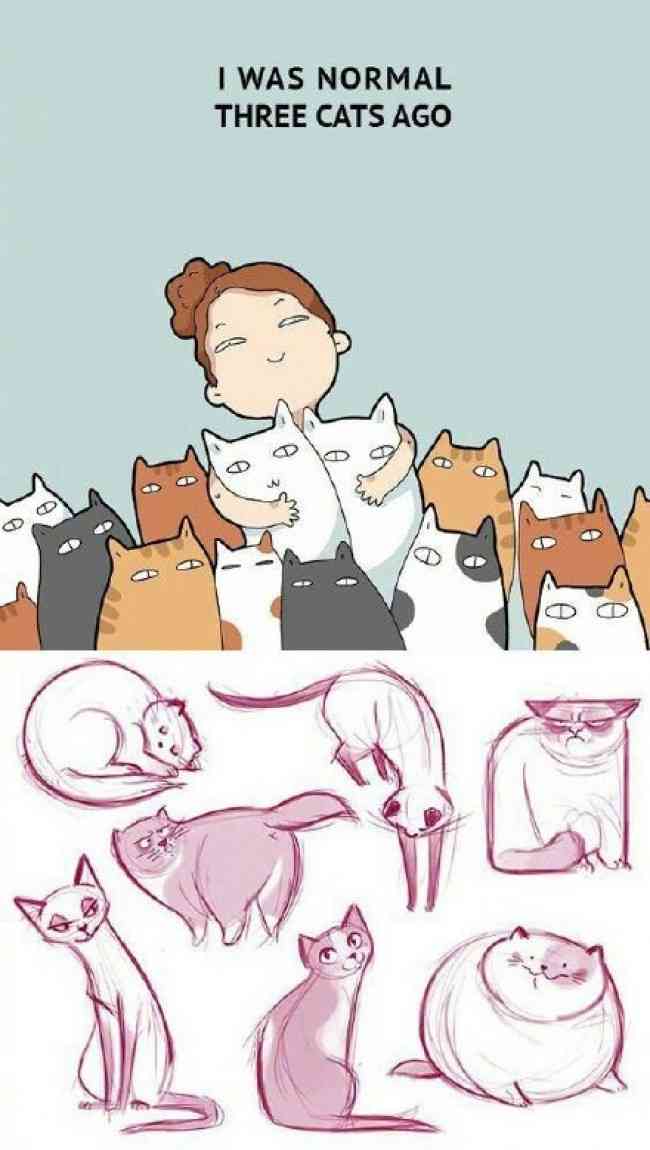 动漫风格二次元猫咪简易手绘教程