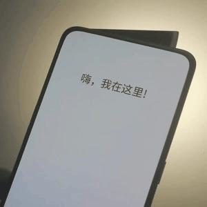 AI智能识物设计全解析：从原理到实践，深度探讨生成报告的全方位指南