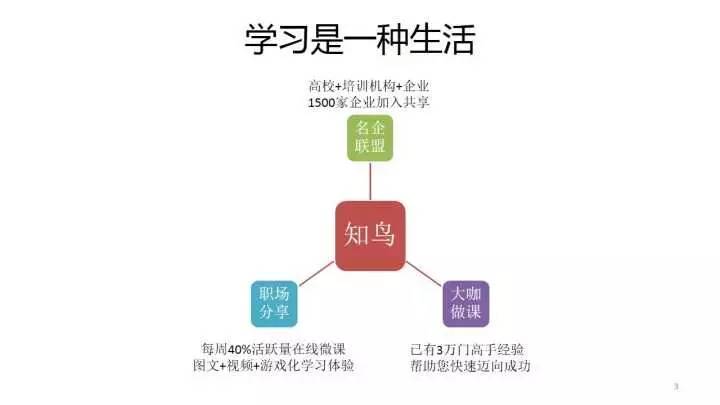 全方位雪场导览与AI文案策划：一站式解决雪场传手册撰写需求