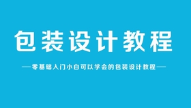 插画AI的设计过程设计报告