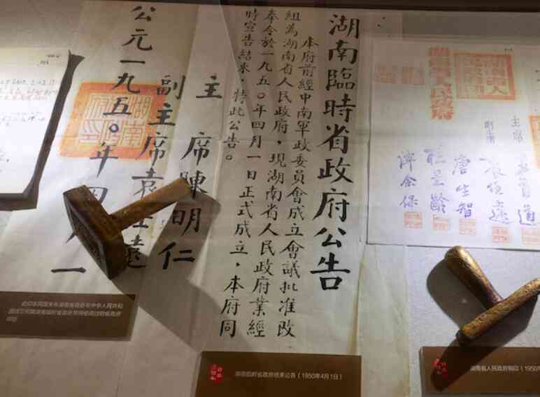 《基于人工智能的湖南居民健档案管理系统调研报告》