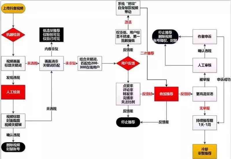 抖音脚本怎么写教程：从入门到精通全攻略