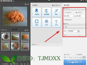 AI怎么添加自己设置的颜色、文字和画板