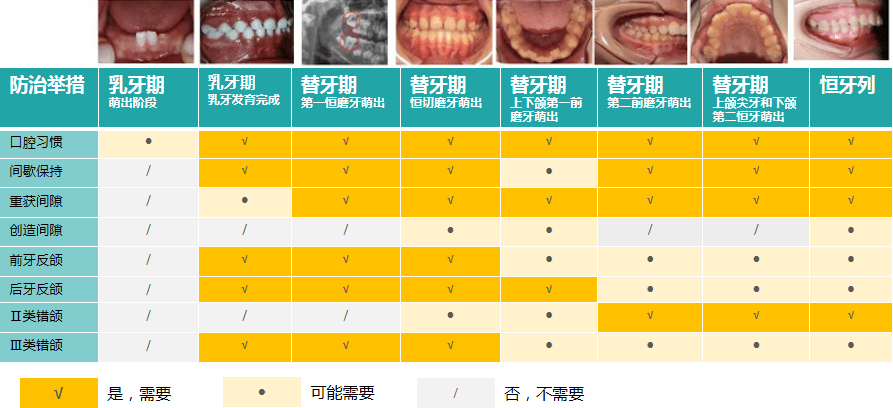 口腔健检查与分析报告：全面解析牙齿状况与治疗建议