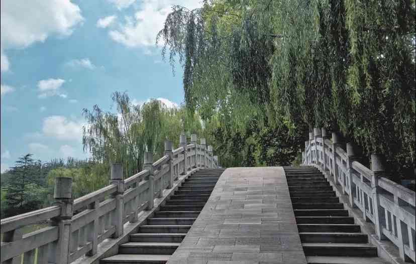 青春i创作全辑：聆听原声带，探索青春记忆的旋律