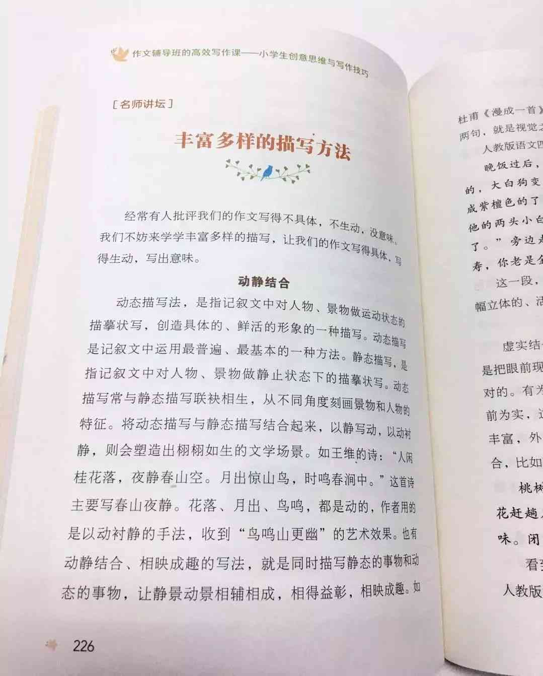 专业写作辅导与教学专家：提升写作技巧与创意思维