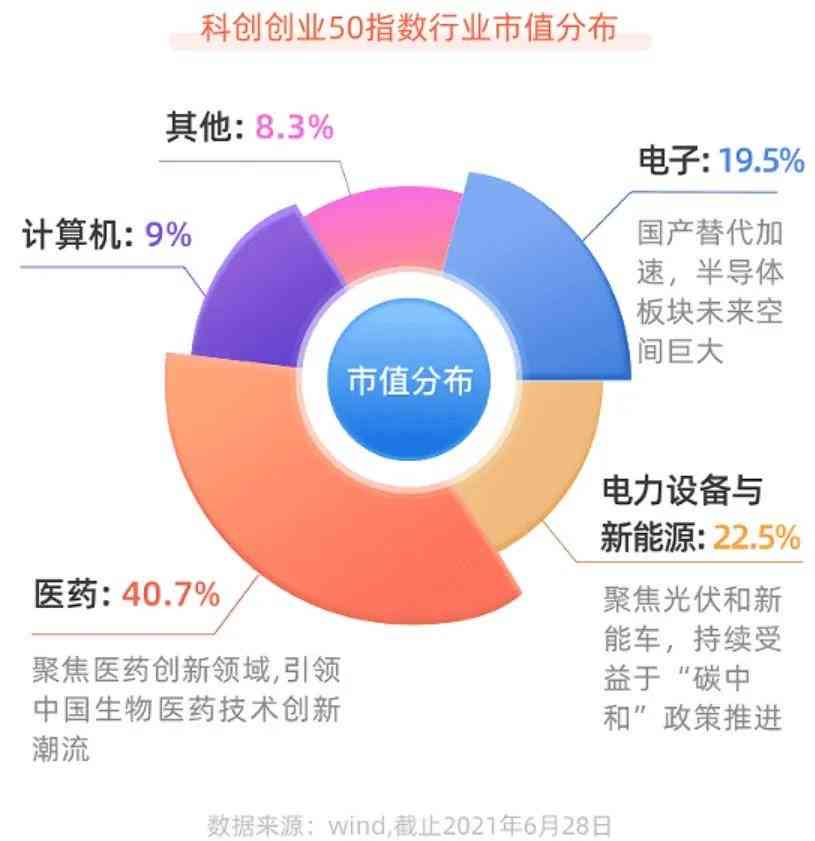 顶级创     司一览：揭秘投资趋势、热门领域及创业者必备指南