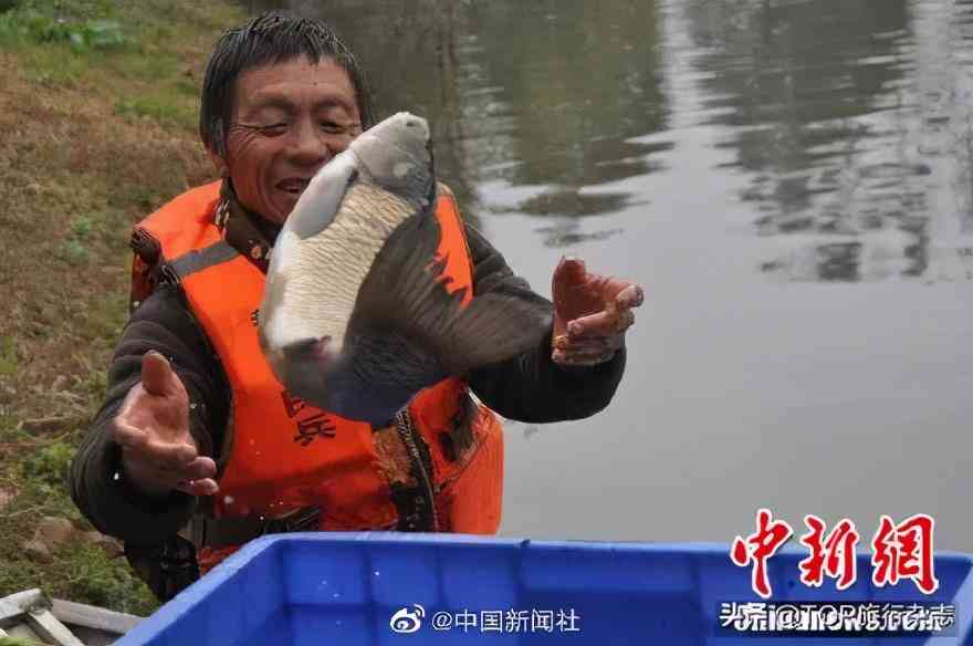 一站式旅游文案生成神器：涵全球景点攻略，满足个性化出行需求