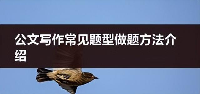 全面盘点：2023年热门电脑AI写作网站及功能详解推荐