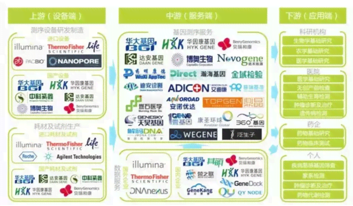 aip诊断：多病症并行检测与精准治疗方案分析报告