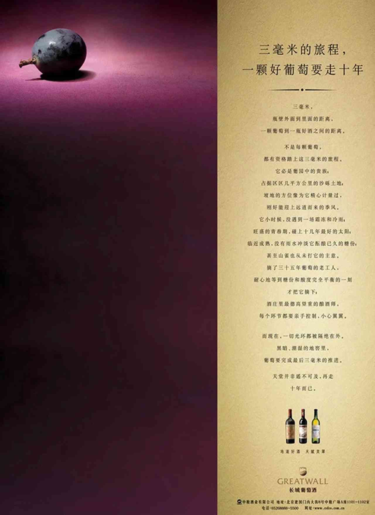 经典写真文案金句集锦：全面覆摄影创意灵感与情感表达