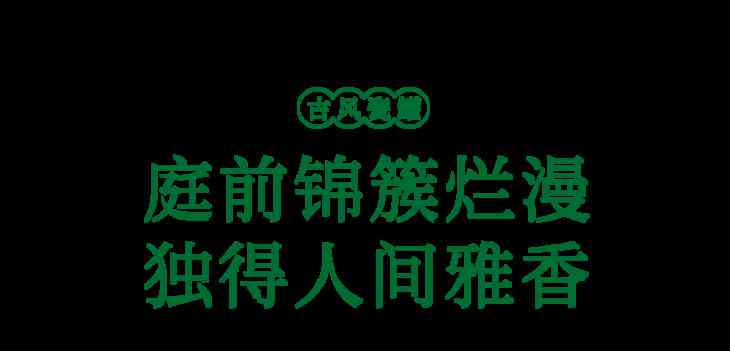发疯文学文案：叼玫瑰花、生成器、阴暗爬行、日常金句、魂兮归来集锦
