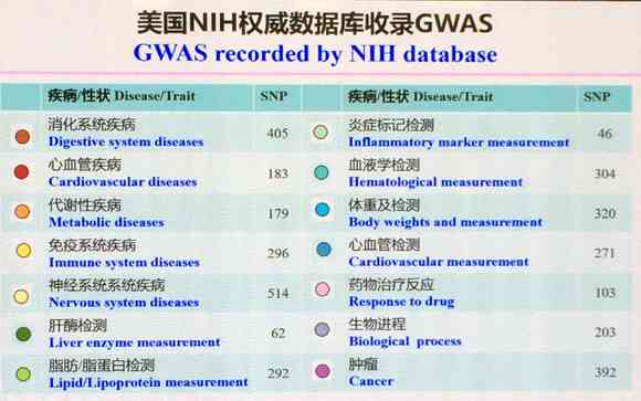 深度解析：AI声音气质报告制作全攻略，全面解决个性化声音定制疑问