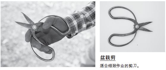 打造完美虚拟女友：全面攻略与文案撰写指南