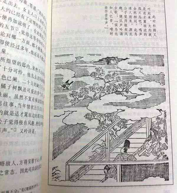 才华横溢的笔耕者：探索文学巨匠的越创作力