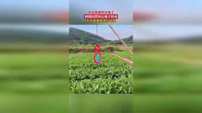 重复利用、环保、自然nnn自然之韵·秋分：环保理念下的重复利用海报设计
