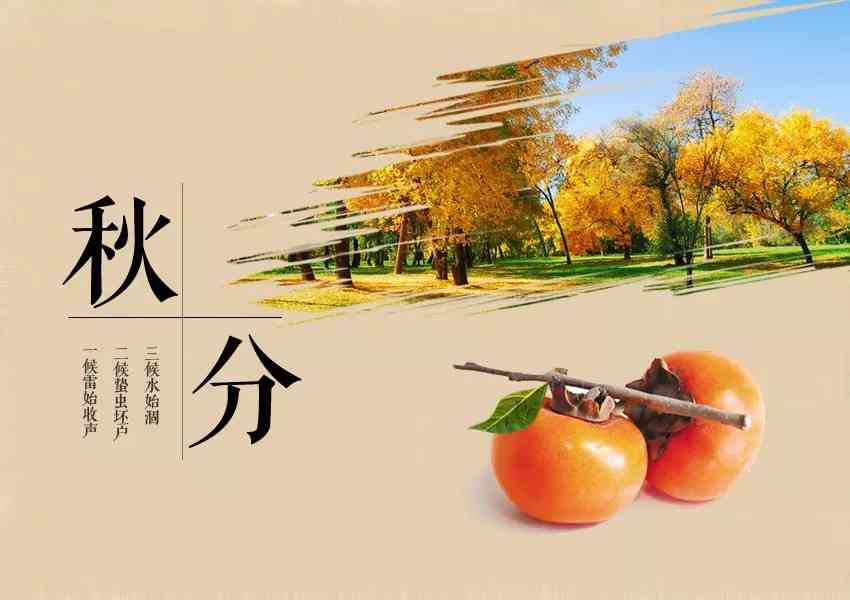 秋分海报手绘：创意绘制节气之美