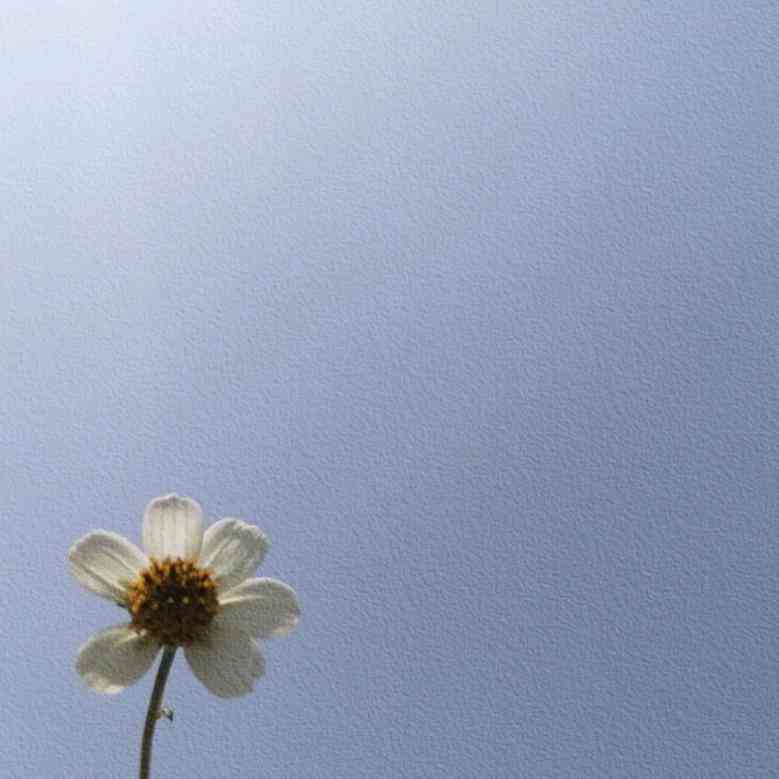 文案素材爱情：故事、短句、句子精选与摘抄