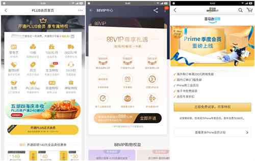 畅享WPS会员权益，同享爱奇艺VIP资源——全面解析一站式办公与娱乐会员服务
