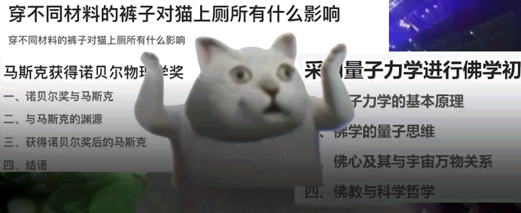 探索塔克猫的创意写作之旅