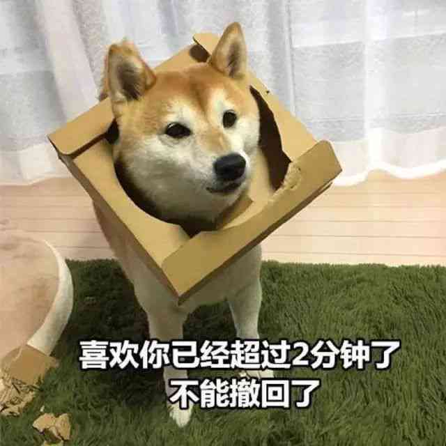 狗狗趣味表情包大     ：捕捉宠物多变表情，轻松解决你的搜索需求