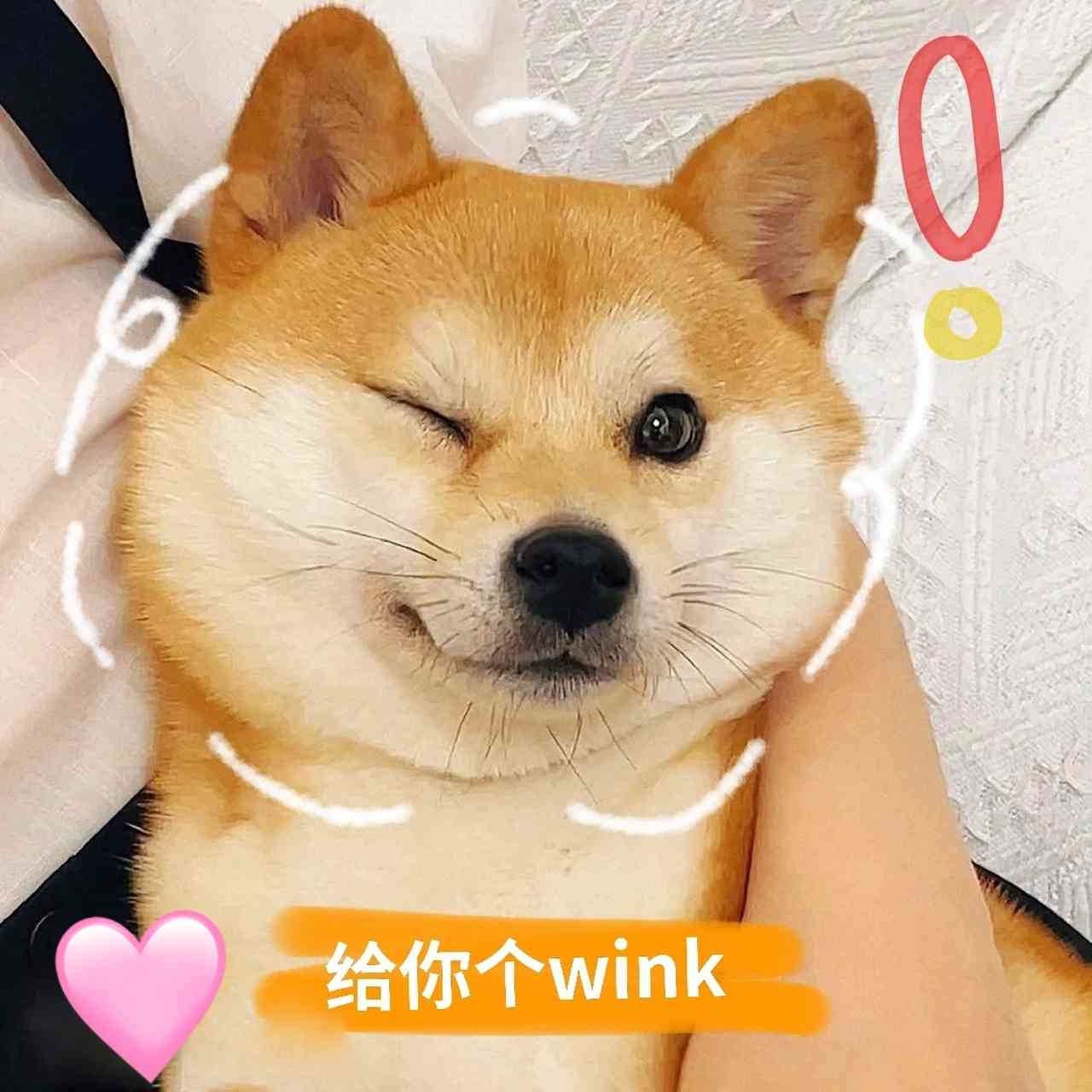 狗狗趣味表情包大     ：捕捉宠物多变表情，轻松解决你的搜索需求