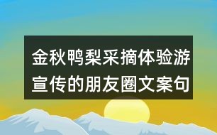 打造独特春旅行记忆：朋友圈AI创意文案撰写攻略