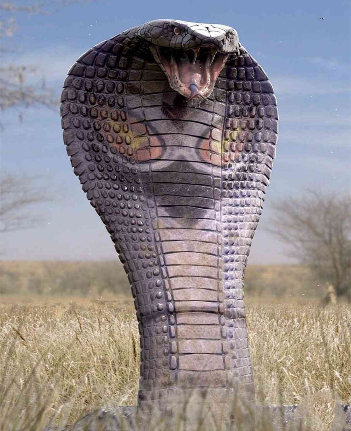 开源AI绘画项目介绍文案：全面收录与撰写指南