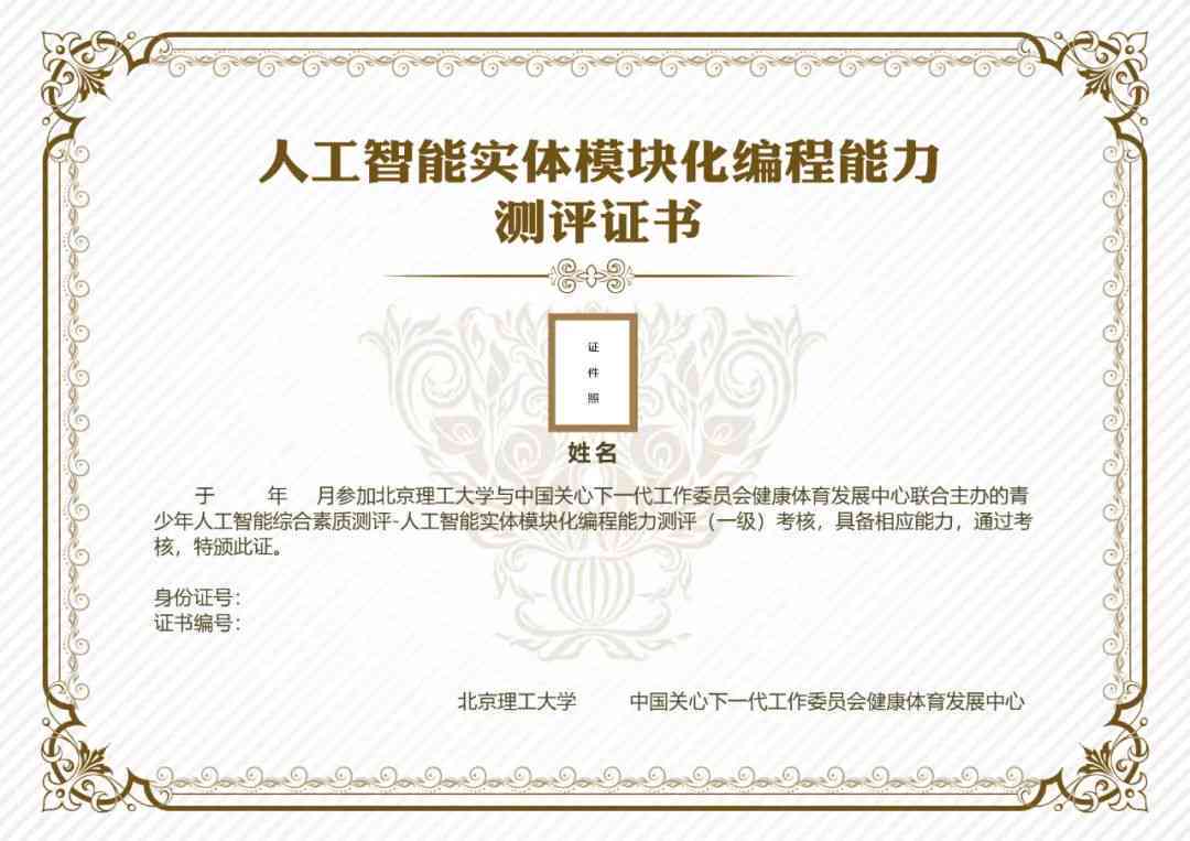 人工智能能力认证证书撰写指南与实践