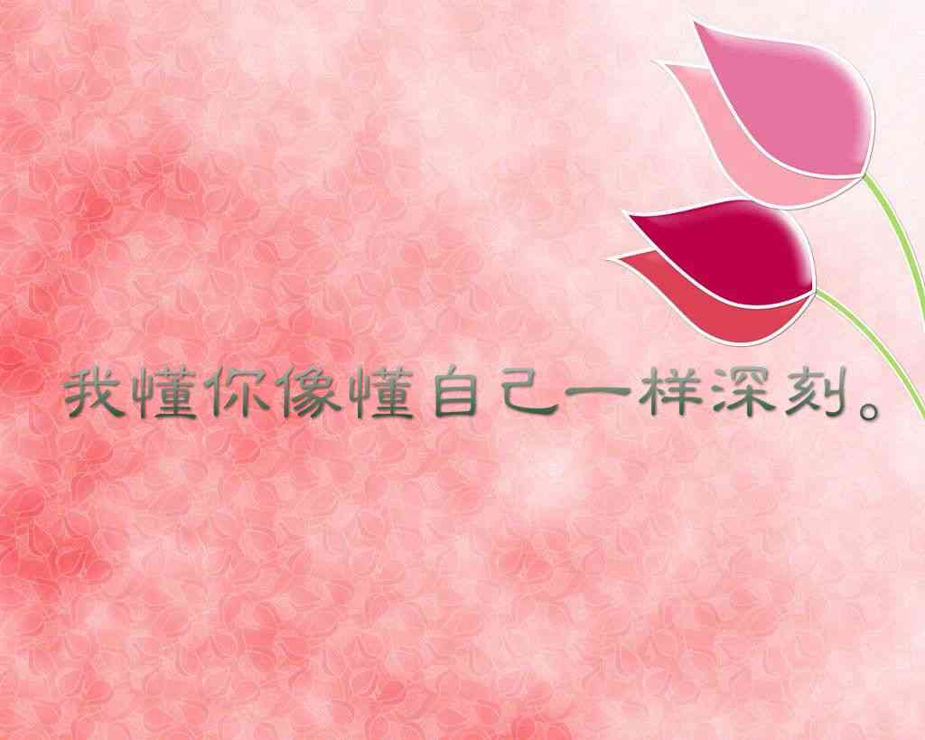 穿越时空的爱恋：经典爱情语录与感人故事精选集